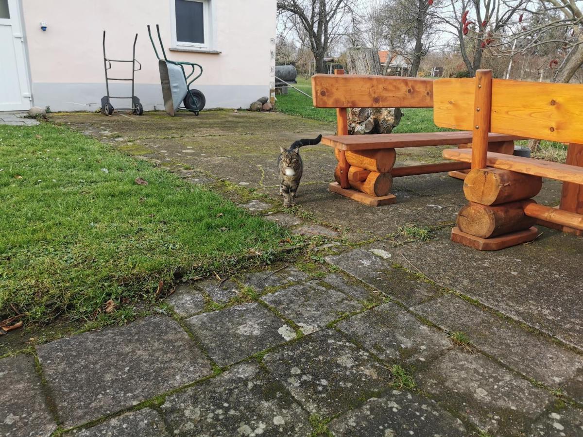 Wellness Oase Auf Dem Land Villa Buttstadt Buitenkant foto